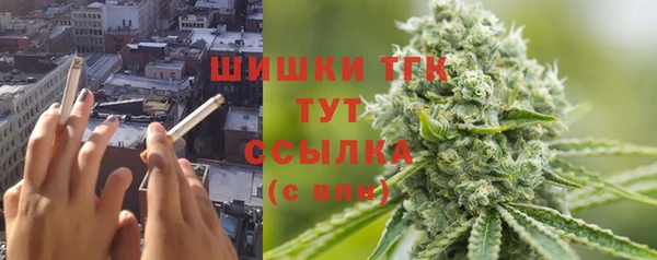 сатива Домодедово