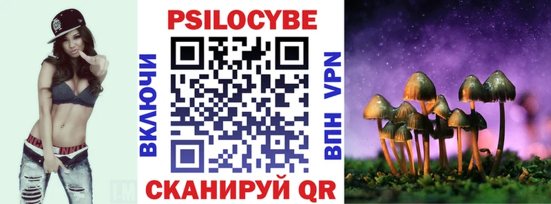 Галлюциногенные грибы Psilocybine cubensis  Бежецк 
